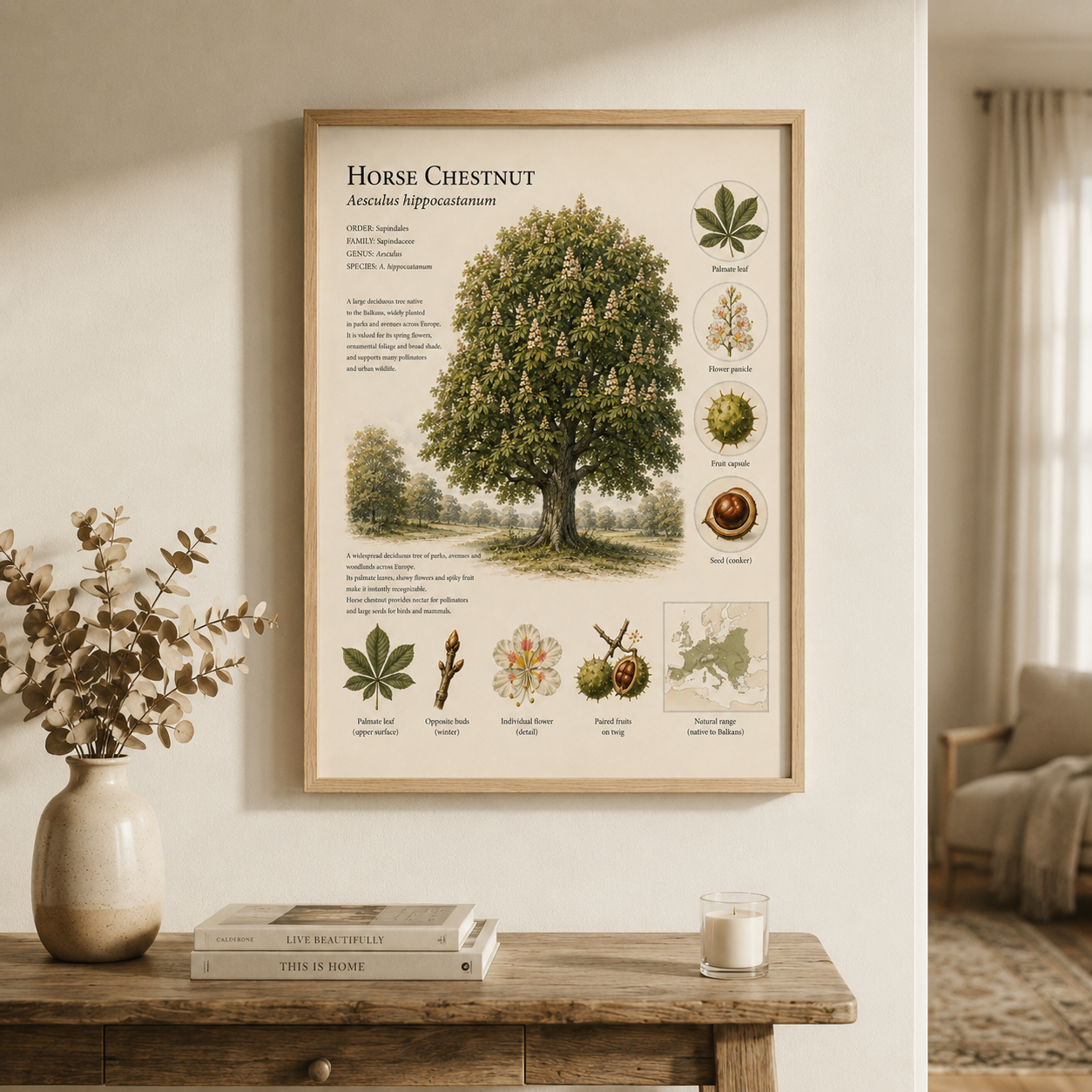 Horse Chestnut — Naturalist Field Plate | Printable Botanical Tree Wall Art