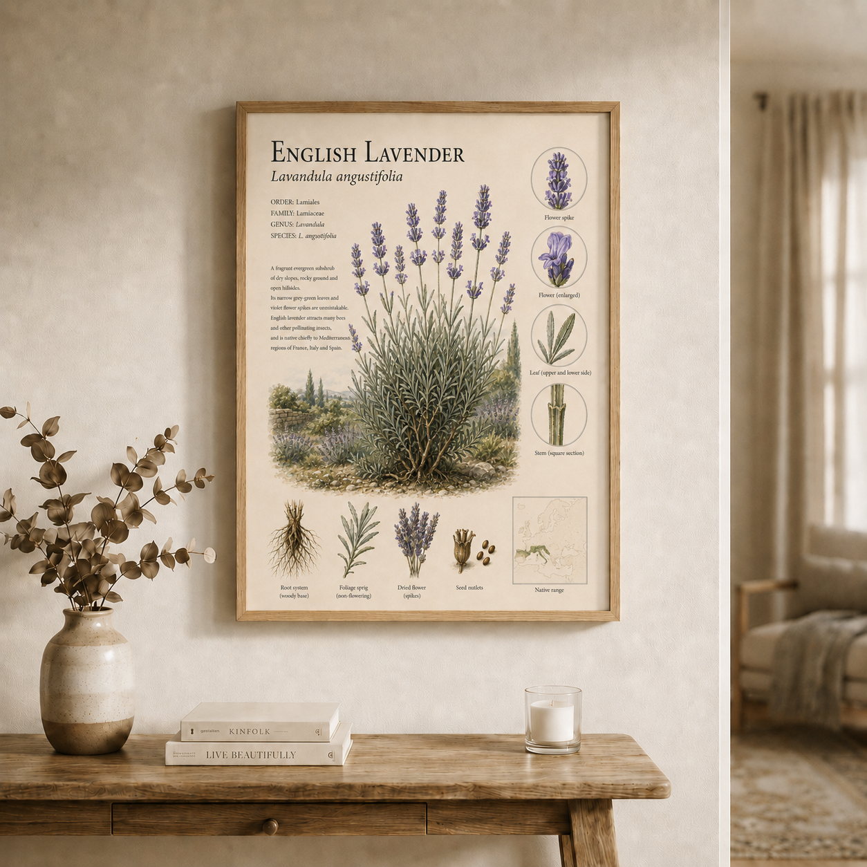 English Lavender — Naturalist Field Plate | Printable Botanical Wildflower Wall Art