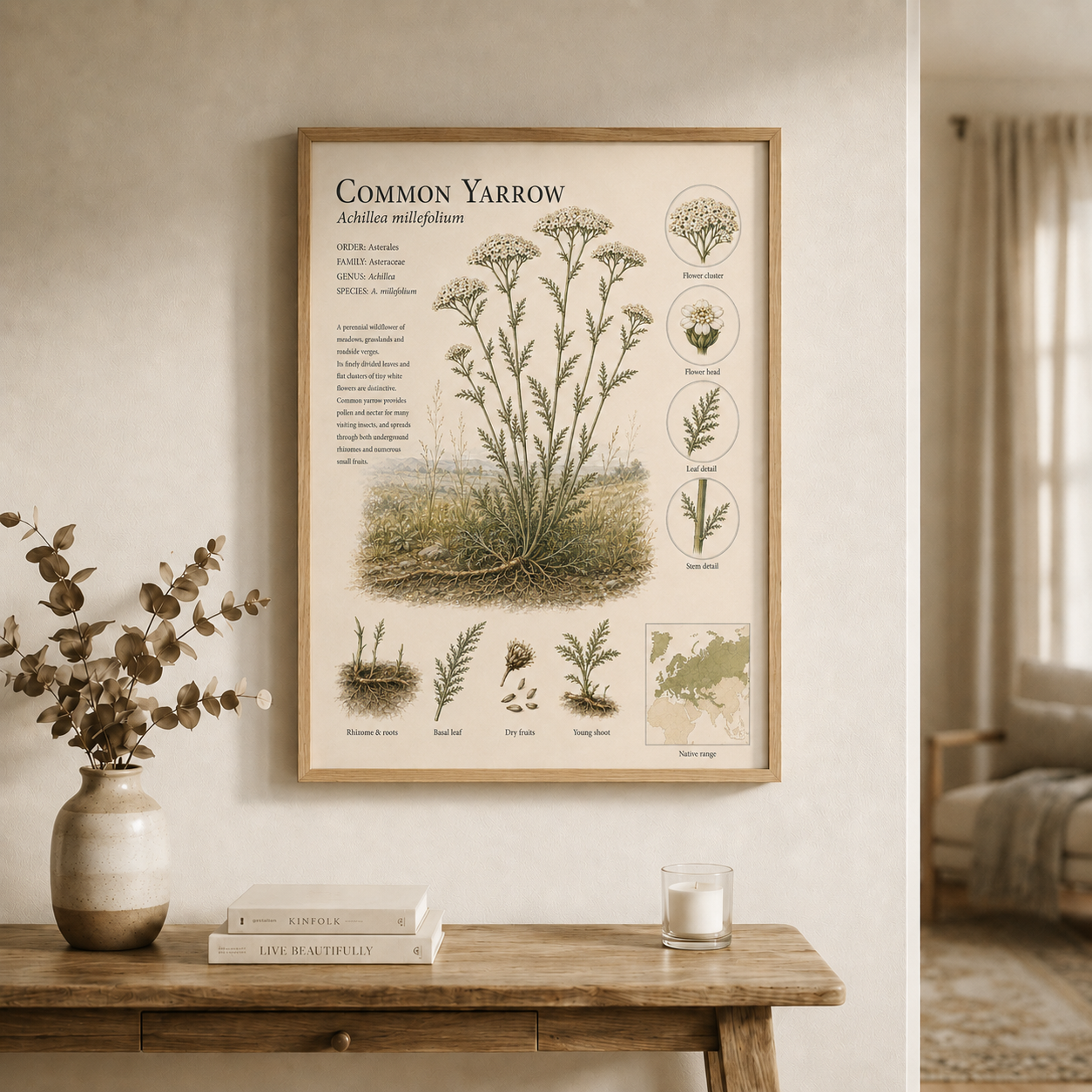Common Yarrow — Naturalist Field Plate | Printable Botanical Wildflower Wall Art